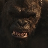 Godzilla vs. Kong: Demolice pokračuje v nejnovější upoutávce | Fandíme filmu