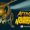 Attack of the Murder Hornets: Vědecký pohled na sršní apokalypsu | Fandíme filmu