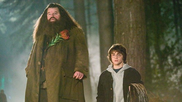 Harry Potter: Přípravy seriálu jsou v plenkách, ale pro HBO je značka důležitá | Fandíme serialům