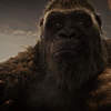 Godzilla vs. Kong: Demolice pokračuje v nejnovější upoutávce | Fandíme filmu