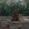 Gaia: Jihoafrická variace na Evil Dead ukazuje sílu přírody | Fandíme filmu