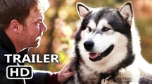 Hero Dog The Journey Home - trailer | Fandíme filmu