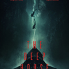 The Deep House: Dvojice objeví na dně jezera dům hrůzy | Fandíme filmu