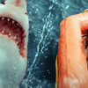 Great White: V krvavém traileru okusuje hladový žralok jednoho trosečníka za druhým | Fandíme filmu