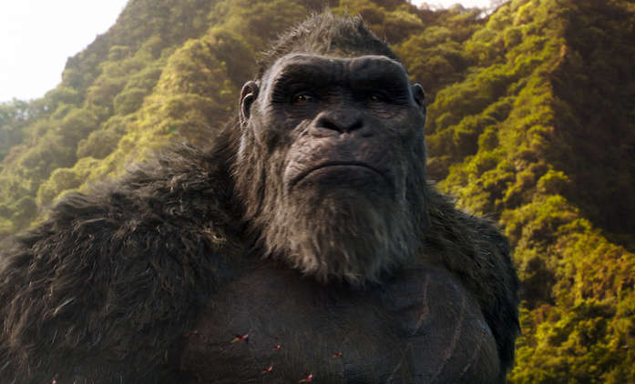 Godzilla vs. Kong: Pokračování má datum premiéry | Fandíme filmu