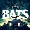 Bats: Obrovským netopýrům zachutnalo lidské maso | Fandíme filmu