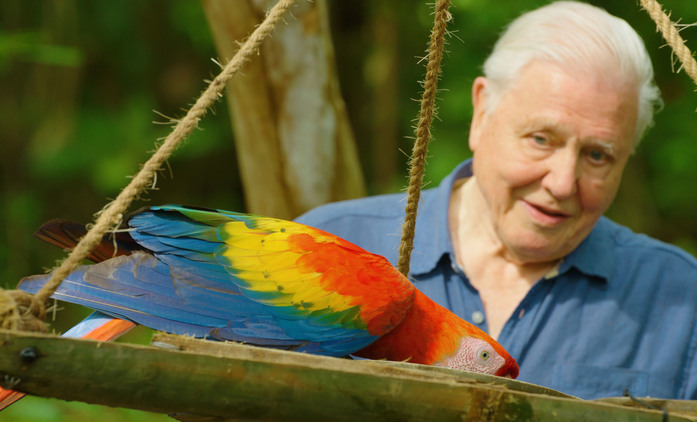 Život v barvě: David Attenborough ukáže divákům, jak barvy fungují ve zvířecí říši | Fandíme seriálům