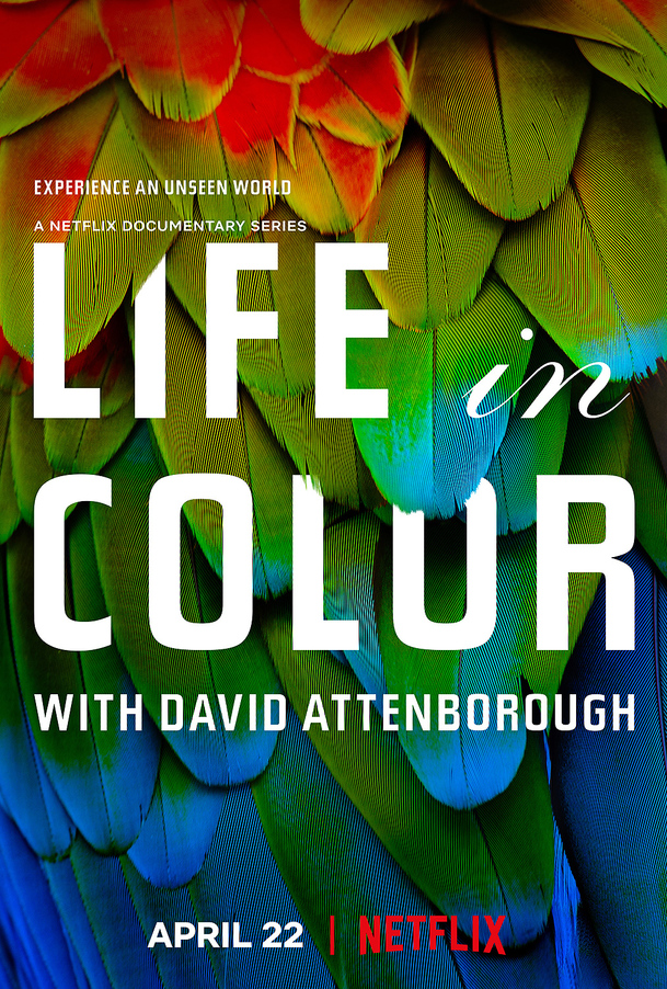Život v barvě: David Attenborough ukáže divákům, jak barvy fungují ve zvířecí říši | Fandíme serialům