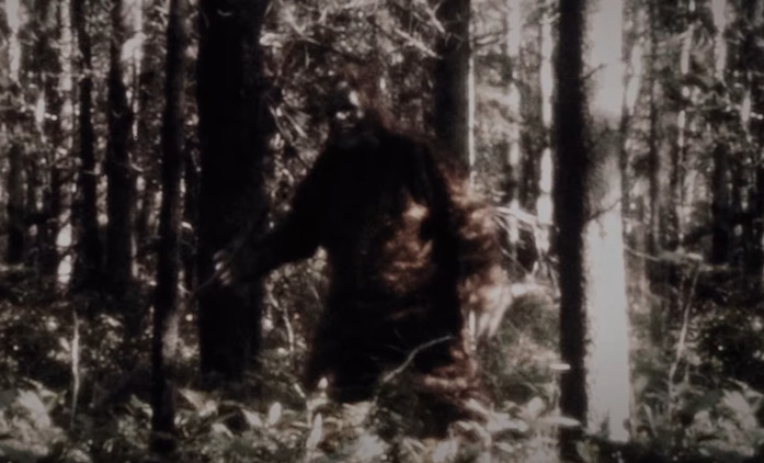 Sasquatch: Nová série se zaměří na masovou vraždu připisovanou bájnému Big Footovi | Fandíme seriálům