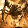 Giant Spider: Pavouci, roboti a mutanti v upoutávce na novou akci | Fandíme filmu