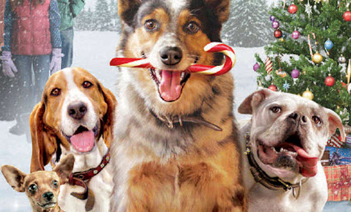 Pups Alone: Blíží se psí variace na Sám doma, pusťte si trailer | Fandíme filmu