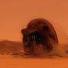 Planet Dune: Také velkolepá Duna dostala svoji lacinou vykradačku | Fandíme filmu