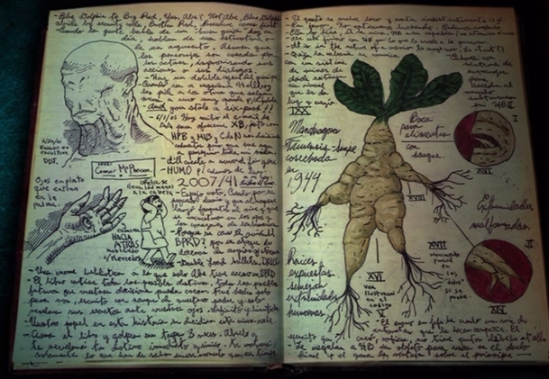 Cabinet Of Curiosities: Ron z Harryho Pottera si zahraje v hororové novince Guillerma del Tora | Fandíme serialům