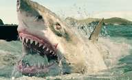 The Black Demon: Další obří žralok bude útočit na lidi | Fandíme filmu