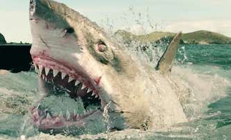 The Black Demon: Další obří žralok bude útočit na lidi | Fandíme filmu