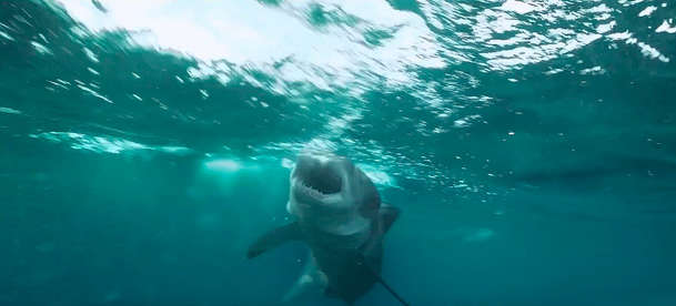 Útes smrti 2: Ještě jeden trailer žraločího napínáku | Fandíme filmu