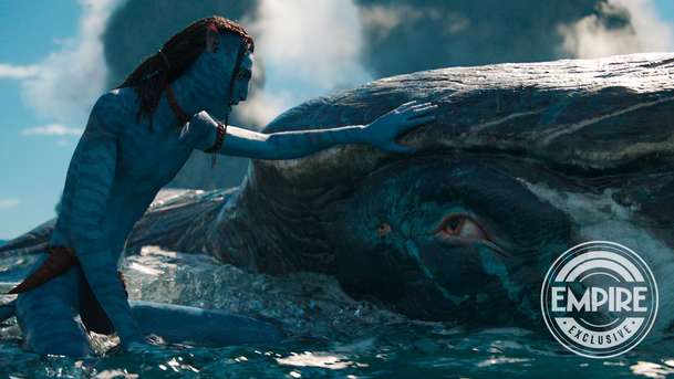 Avatar: James Cameron zvažuje, že nenatočí další dvě pokračování | Fandíme filmu