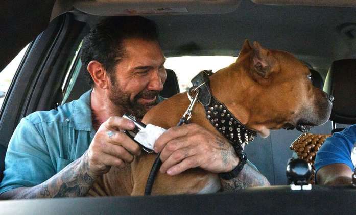 Unleashed: Dave Bautista bojuje se zločinem s pejskem po boku | Fandíme filmu