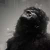 Werewolf by Night: Pusťte si trailer nové hororové marvelovky | Fandíme filmu