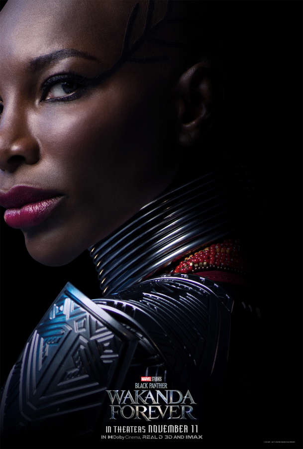 Black Panther: Wakanda nechť žije – Nová upoutávka míchá vzpomínky a výhled kupředu | Fandíme filmu