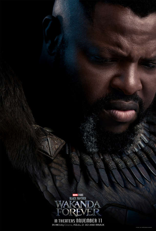 Black Panther: Wakanda nechť žije – Nová upoutávka míchá vzpomínky a výhled kupředu | Fandíme filmu