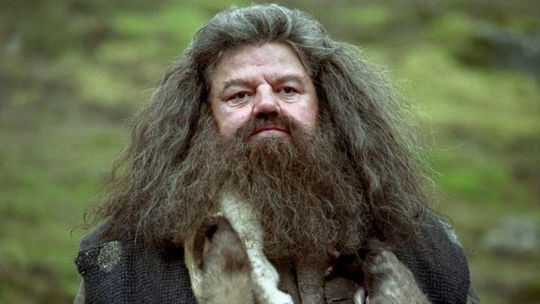 Harry Potter: Seriál oficiálně obsadil 6 dospěláků z Bradavic | Fandíme serialům