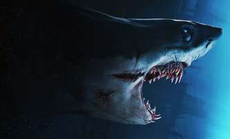 Mako: Už dnes si můžete na Netflixu pustit ukrytý žraločí thriller | Fandíme filmu