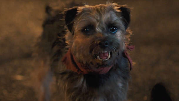 Strays: V bláznivé komedii chce týraný pes ukousnout majiteli pytlík | Fandíme filmu