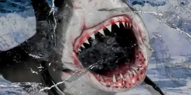 Big Shark: Autor „nejhoršího filmu všech dob“ natočil žraločí novinku | Fandíme filmu