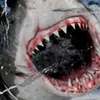 Big Shark: Autor „nejhoršího filmu všech dob“ natočil žraločí novinku | Fandíme filmu