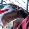 Joker 2: Nový trailer padoušské komiksovky dorazil | Fandíme filmu