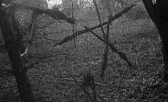 Blair Witch: Nový film má režiséra a letos se začne točit | Fandíme filmu