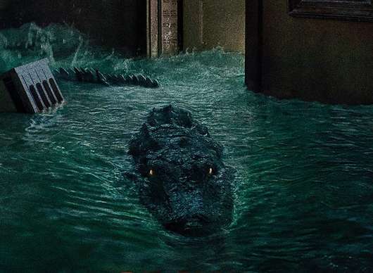 The Death Roll: Glen Powell dohlédne na krokodýlí řádění | Fandíme filmu