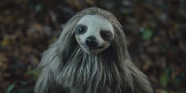 Slotherhouse: Bláznivý horor představuje vraždícího lenochoda | Fandíme filmu