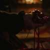 Sleeping Beauty’s Massacre: Krvavá verze Šípkové Růženky v novém hororu | Fandíme filmu