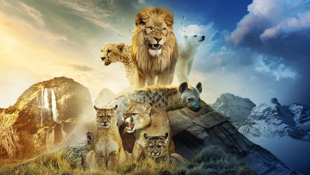 Svět predátorů: Tom Hardy namluvil drsný přírodní dokument, který uvede Netflix | Fandíme serialům