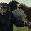 Království Planeta opic: Opičí říše vypadá v novém traileru úchvatně | Fandíme filmu
