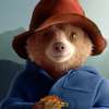 Paddington in Peru: Oblíbený méďa se vrátí v roce 2025 | Fandíme filmu