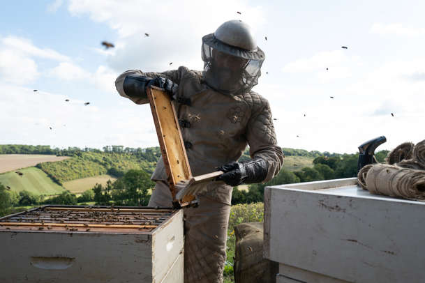 The Beekeeper: Jason Statham vytříská zástup pohůnků v nové upoutávce | Fandíme filmu