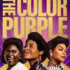 Purpurová barva: Roztančený muzikál se řítí do našich kin | Fandíme filmu