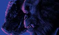 Godzilla x Kong: Film je v kinech, slaví úspěch, chystá pokračování | Fandíme filmu