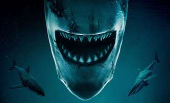 No Way Up: Nový trailer staví potopené letadlo proti žralokům | Fandíme filmu