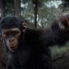 Království Planeta opic: Krátký film o filmu rozebírá svět budoucnosti | Fandíme filmu