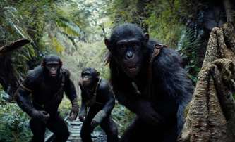 Box Office: Pokladny kin ovládly opice | Fandíme filmu