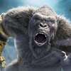 Godzilla x Kong: Nové imperium – Roztomilá štěňátka lákají na souboj titánů | Fandíme filmu