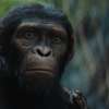 Království Planeta opic: Nová, nabitá tříminutová upoutávka | Fandíme filmu