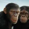Království Planeta opic: Nová, nabitá tříminutová upoutávka | Fandíme filmu
