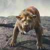 Mufasa: Lví král – První trailer nové disneyovky | Fandíme filmu