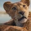 Mufasa: Lví král – První trailer nové disneyovky | Fandíme filmu