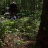 In a Violent Nature: Krvavá extáze z pohledu sadistického zabijáka | Fandíme filmu